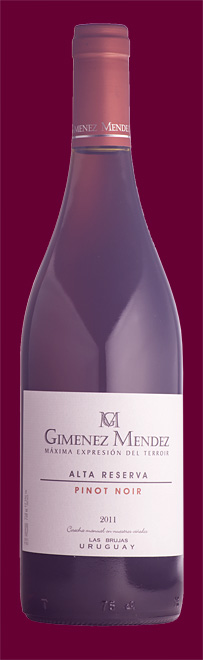 Gimenez Mendez Pinot Noir 2011