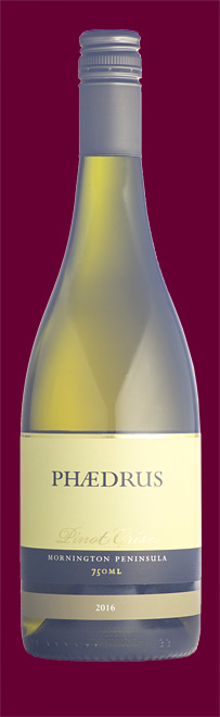 Phaedrus Pinot Gris 2016