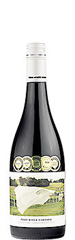 Four Winds Shiraz 2022